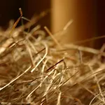 Maison d'hôtes Dittrichs Erben