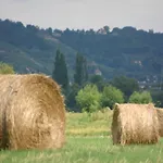 Maison d'hôtes Dittrichs Erben Radebeul