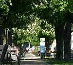 Dittrichs Erben Maison d'hôtes