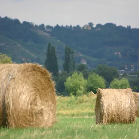 Gasthof Dittrichs Erben Radebeul