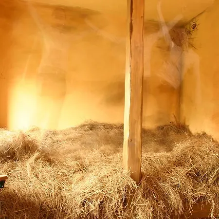 Dittrichs Erben Radebeul