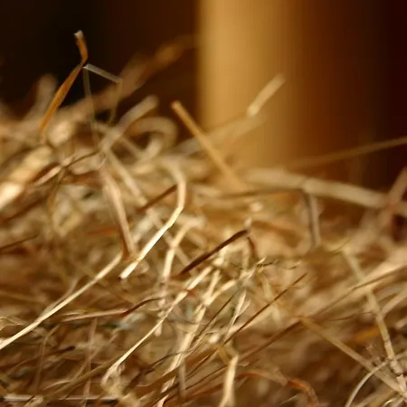 Gasthof Dittrichs Erben