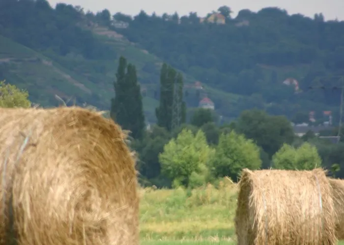 Gæstehus Dittrichs Erben Radebeul