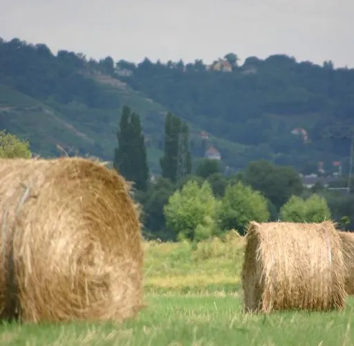 Dittrichs Erben Gæstehus