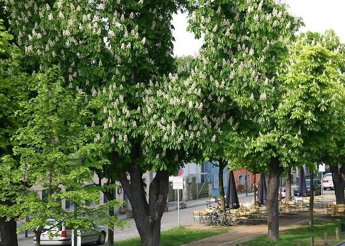Dittrichs Erben Gæstehus