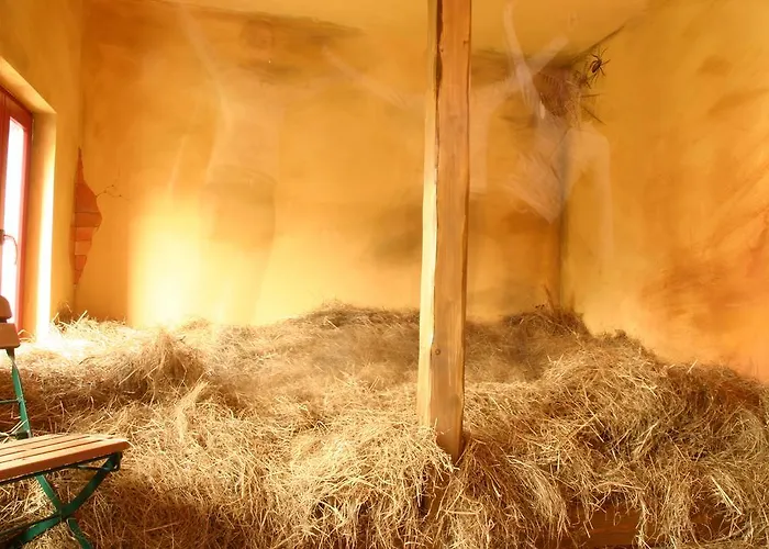 Dittrichs Erben Radebeul